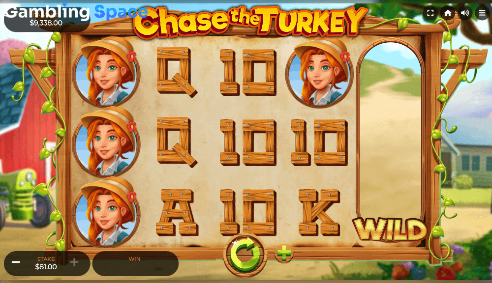 Chase the Turkey – Screenshot 4