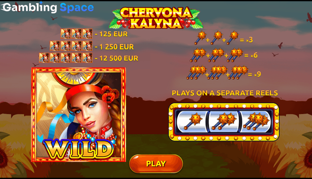 Chervona Kalyna – Screenshot 2