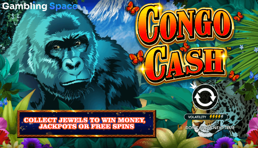 Congo Cash – Screenshot 1