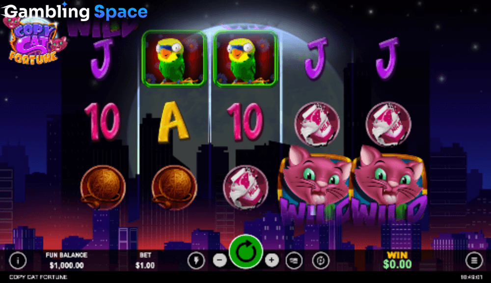 Copy Cat Fortune – Screenshot 1