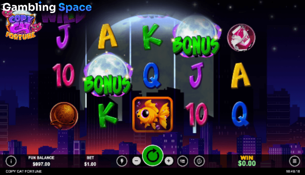 Copy Cat Fortune – Screenshot 4