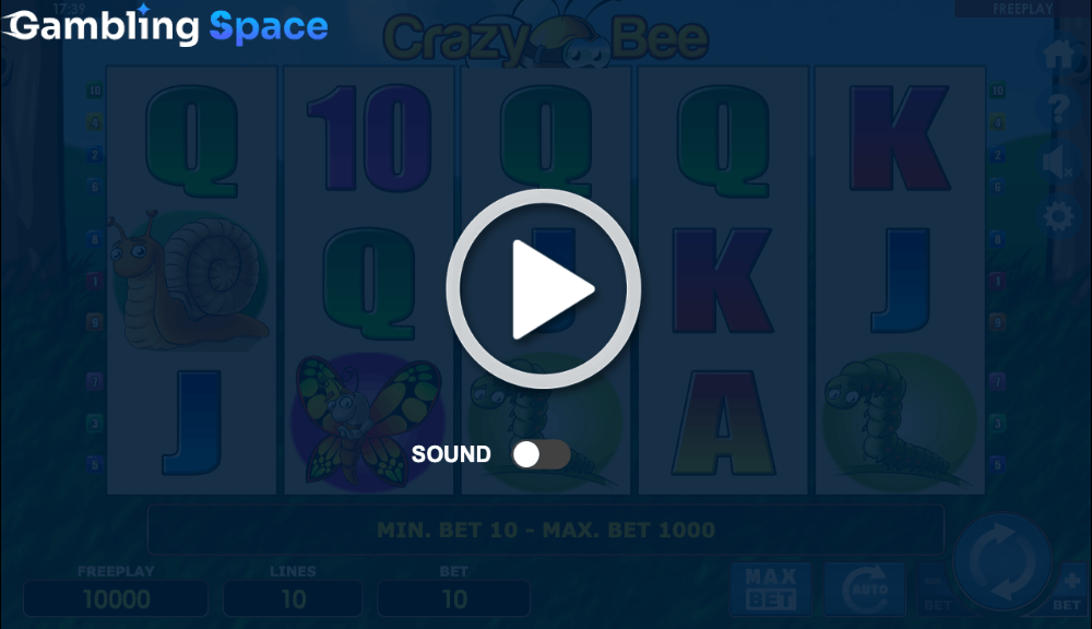Crazy Bee – Screenshot 1