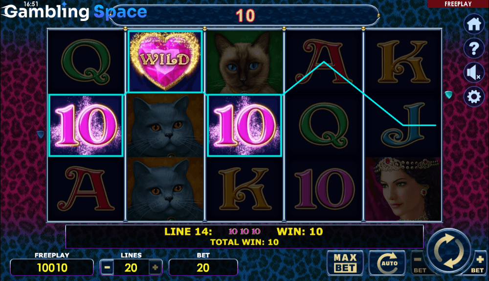 Diamond Cats – Screenshot 5