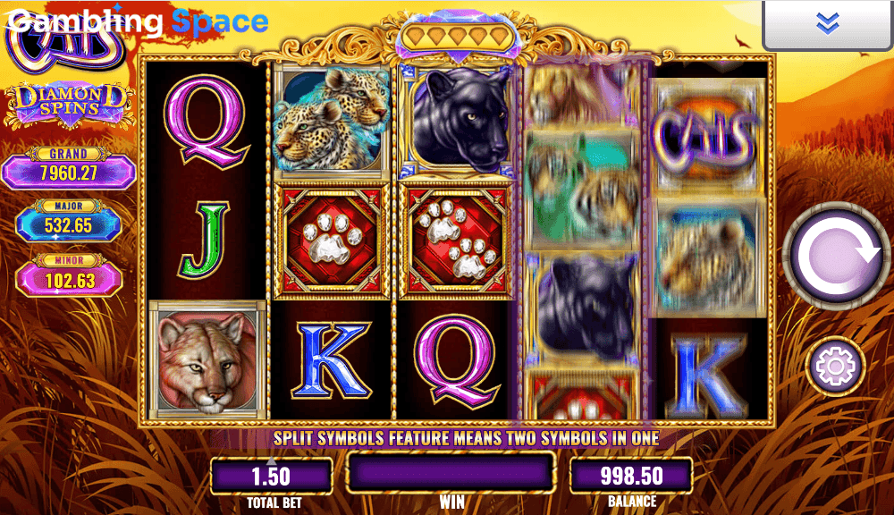 Diamond Spins Cats – Screenshot 2