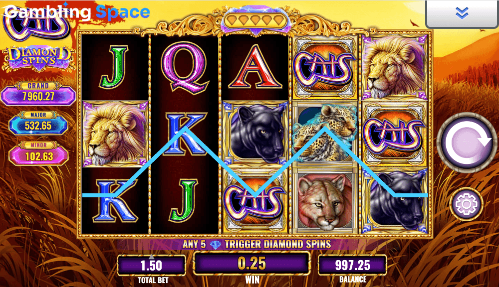 Diamond Spins Cats – Screenshot 3