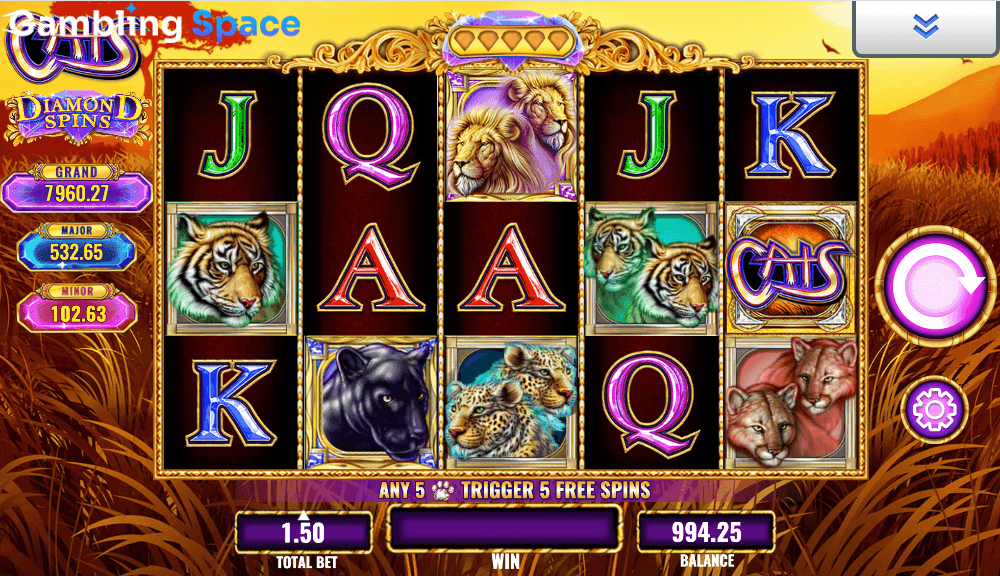Diamond Spins Cats – Screenshot 5