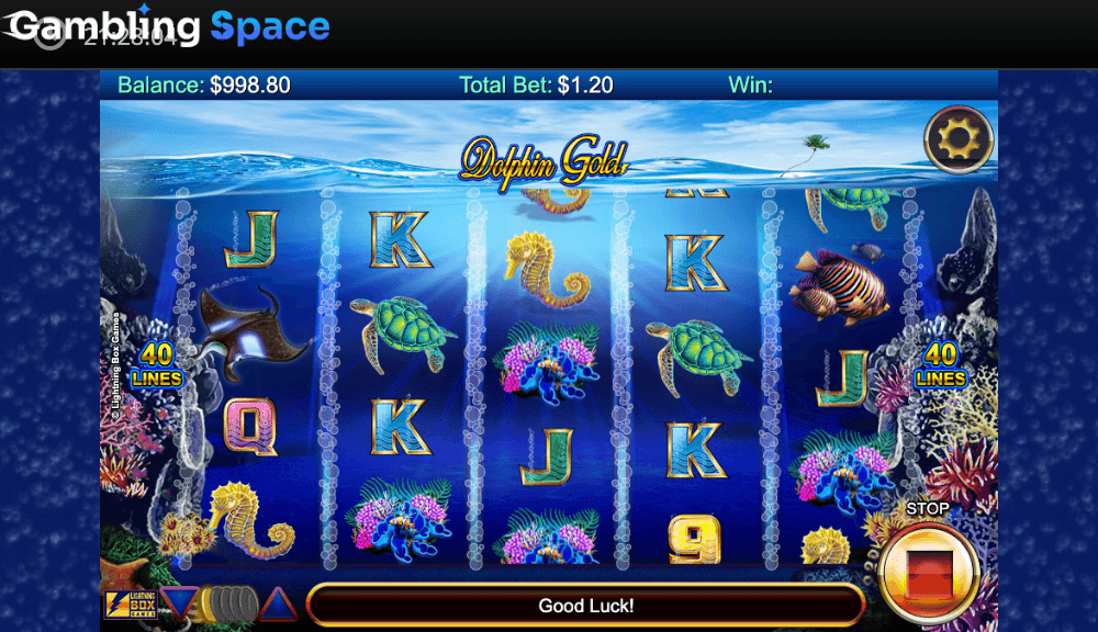 Dolphin Gold HQ – Screenshot 4