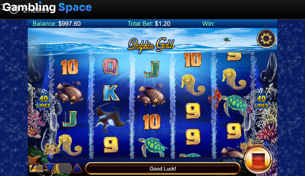 Dolphin Gold HQ – Screenshot 5