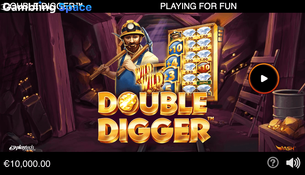 Double Digger – Screenshot 1
