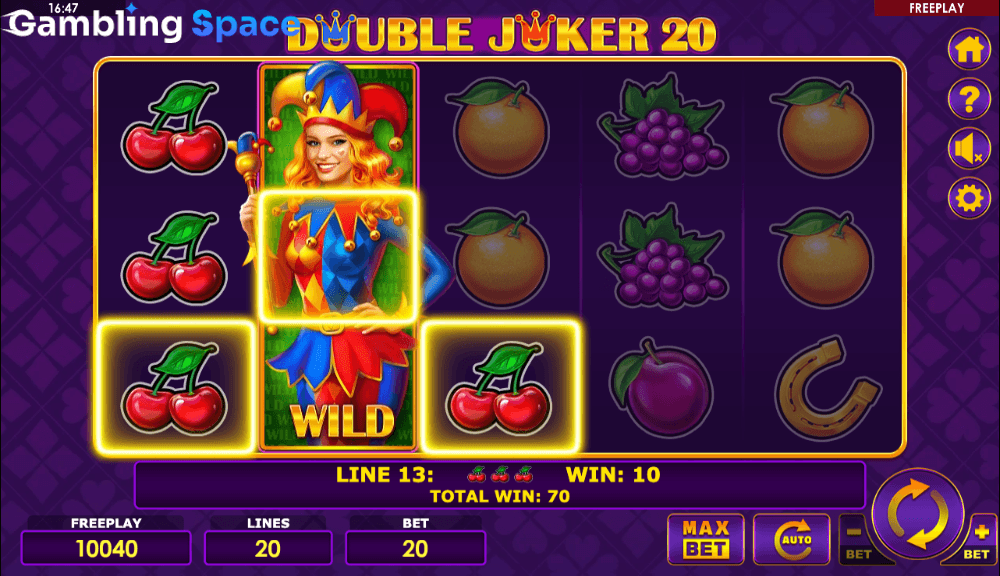 Double Joker 20 – Screenshot 5