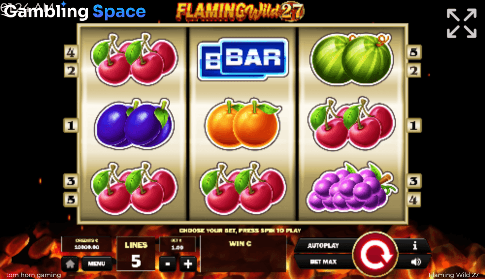 Flaming Wild 27 – Screenshot 2