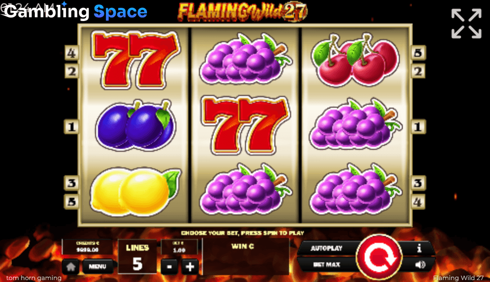 Flaming Wild 27 – Screenshot 3