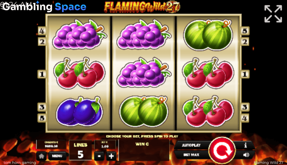 Flaming Wild 27 – Screenshot 4