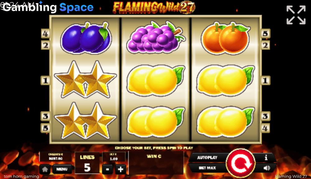 Flaming Wild 27 – Screenshot 5