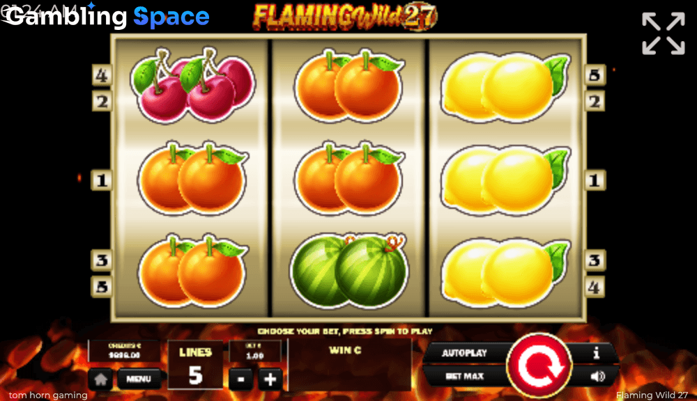 Flaming Wild 27 – Screenshot 6