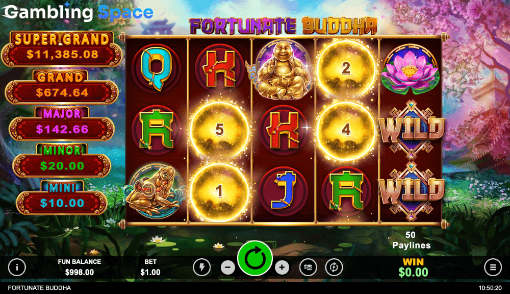 Fortunate Buddha – Screenshot 3