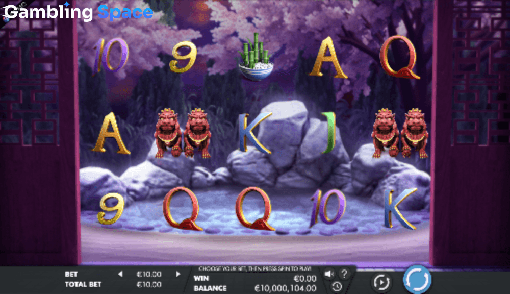 Fortune Turtle – Screenshot 2