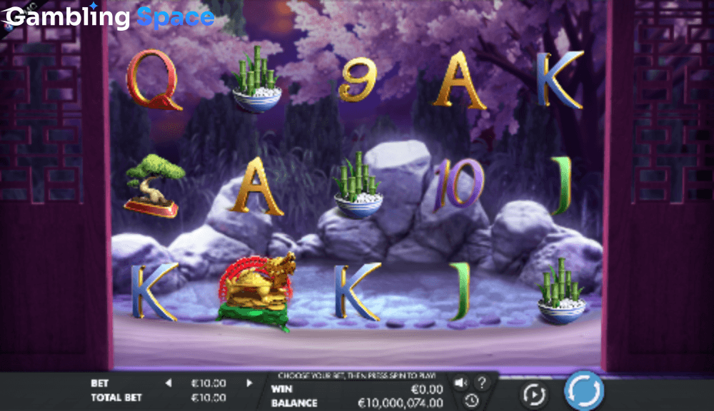 Fortune Turtle – Screenshot 5