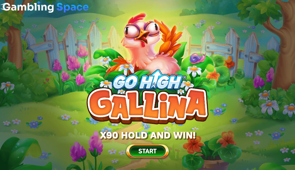 Go High Gallina – Screenshot 1