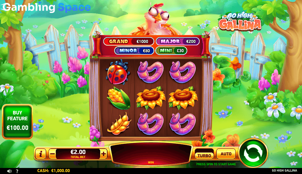 Go High Gallina – Screenshot 2