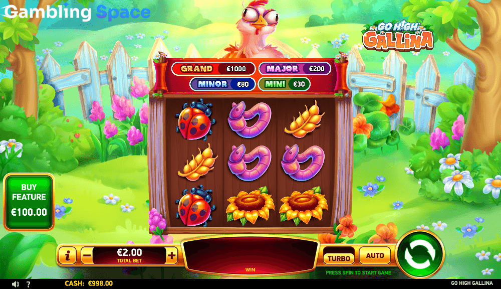 Go High Gallina – Screenshot 3