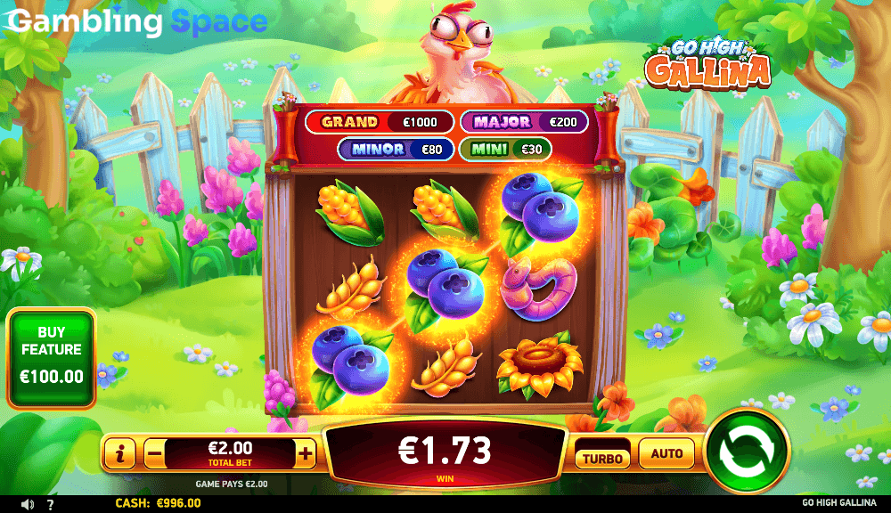 Go High Gallina – Screenshot 4