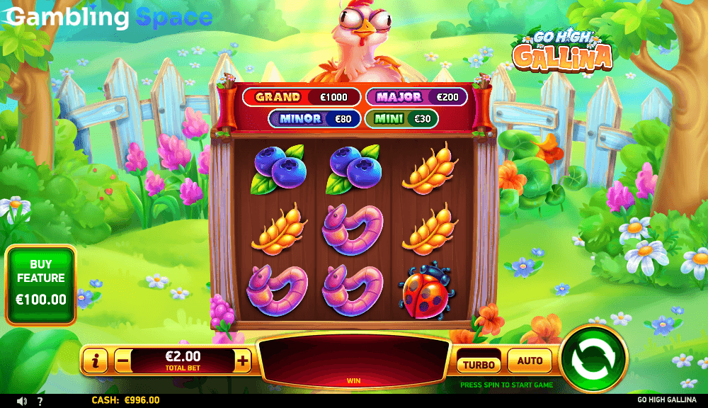 Go High Gallina – Screenshot 5