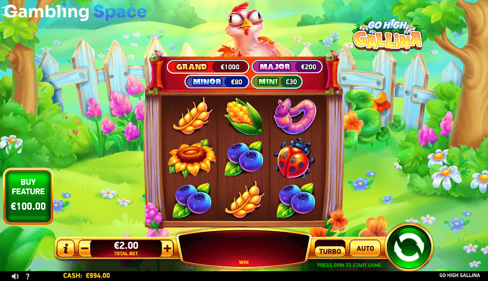 Go High Gallina – Screenshot 6