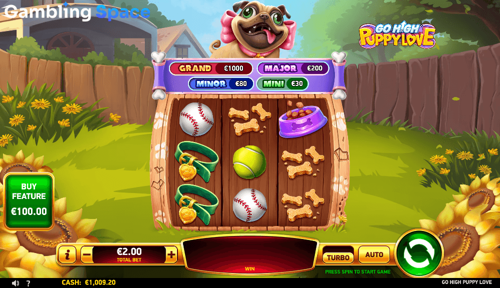 Go High Puppy Love – Screenshot 4