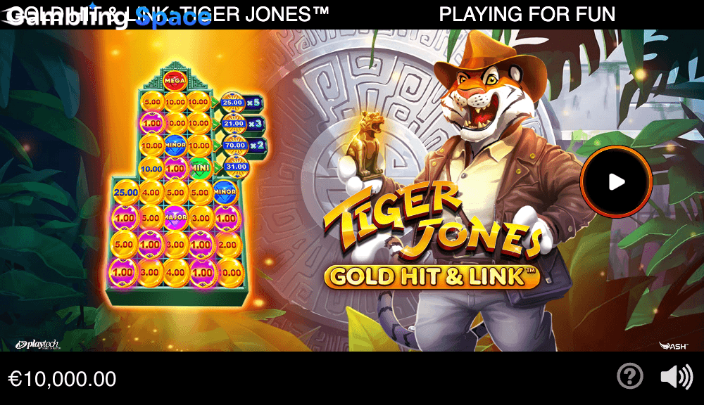 Gold Hit & Link: Tiger Jones – Screenshot 1