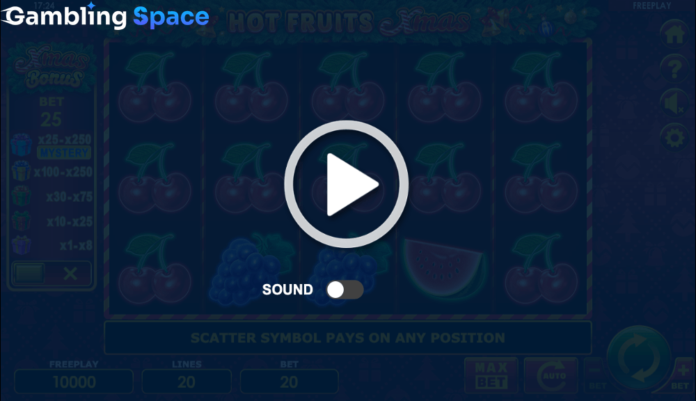 Hot Fruits Xmas – Screenshot 1