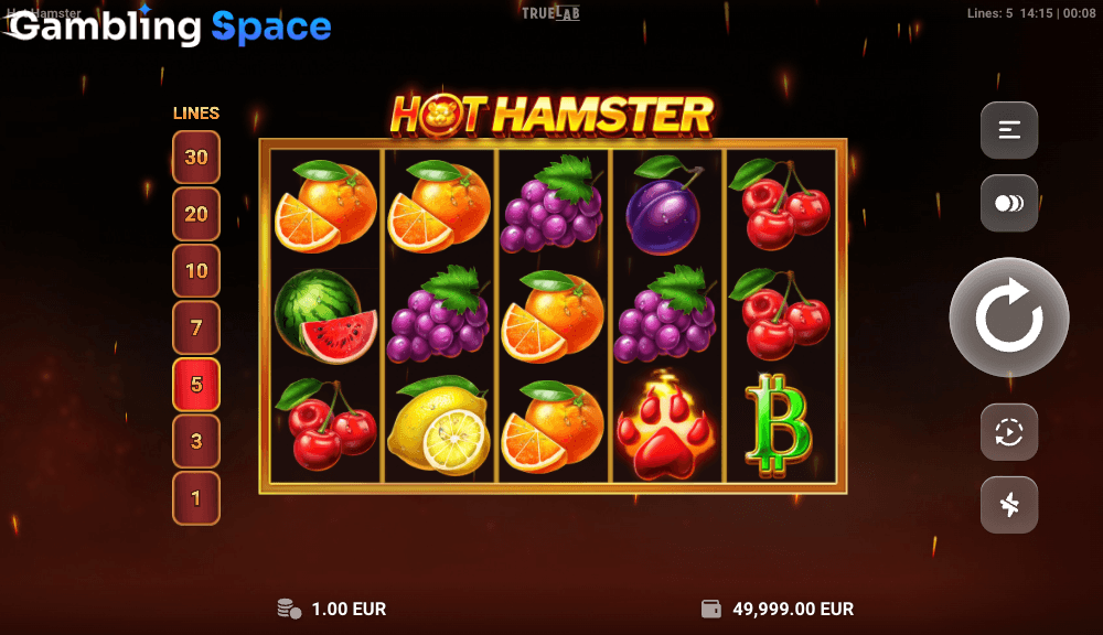 Hot Hamster – Screenshot 3