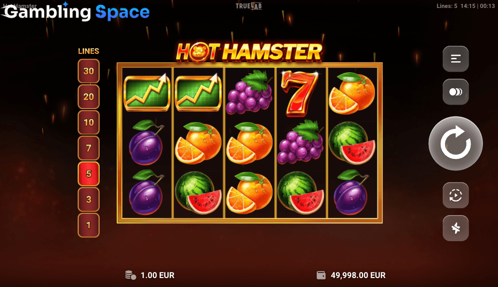 Hot Hamster – Screenshot 4