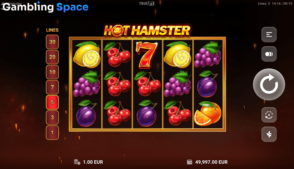 Hot Hamster – Screenshot 5
