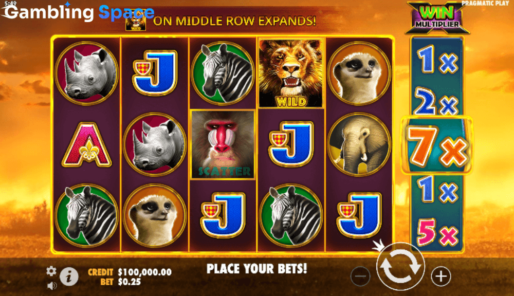 Hot Safari – Screenshot 2