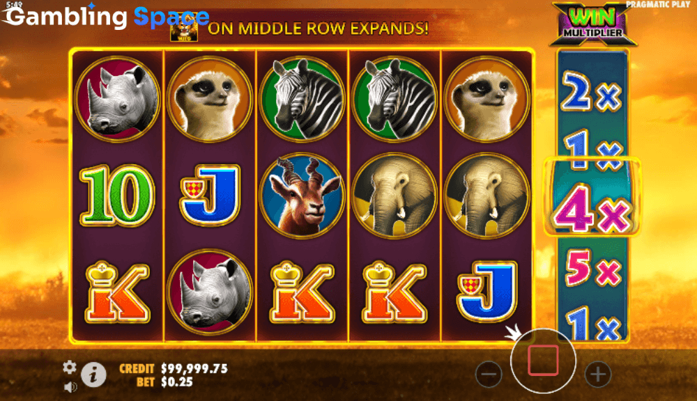 Hot Safari – Screenshot 3