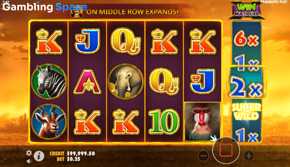 Hot Safari – Screenshot 4