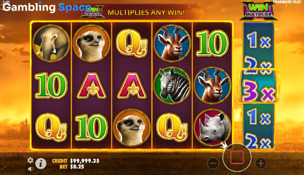 Hot Safari – Screenshot 5