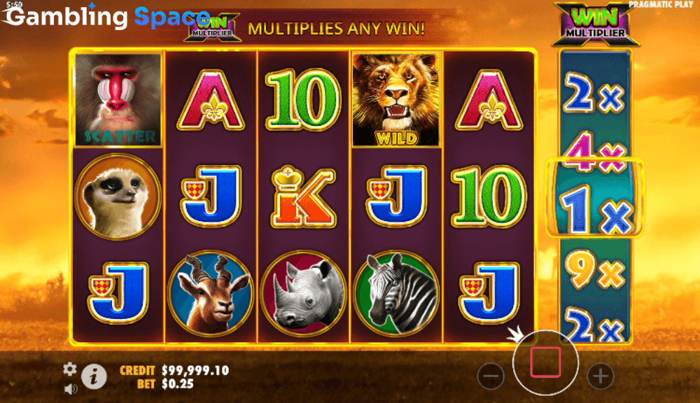 Hot Safari – Screenshot 6