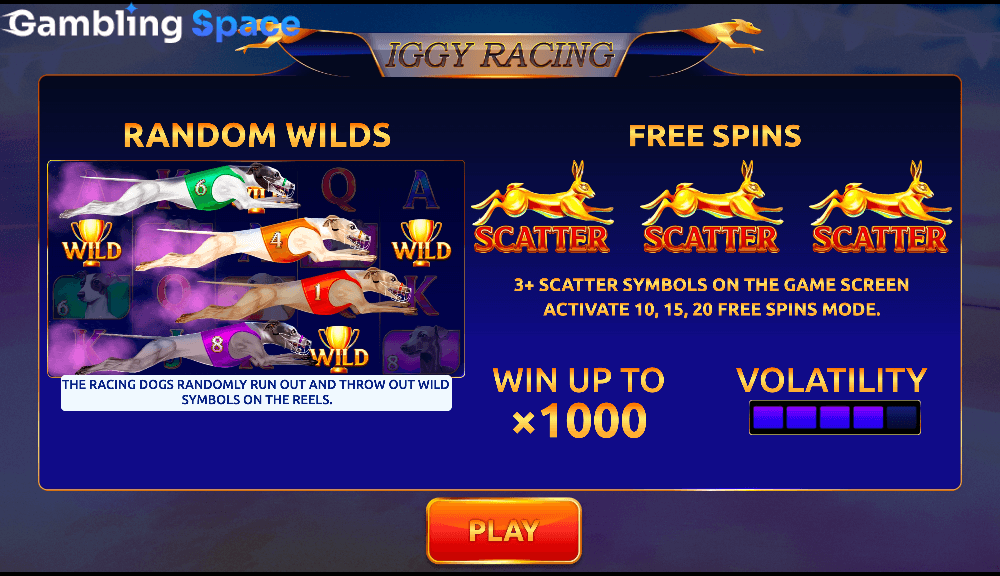 Iggy Racing – Screenshot 1