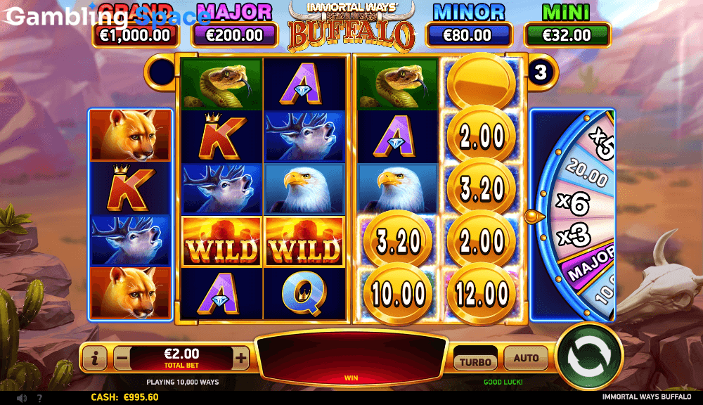Immortal Ways Buffalo – Screenshot 5