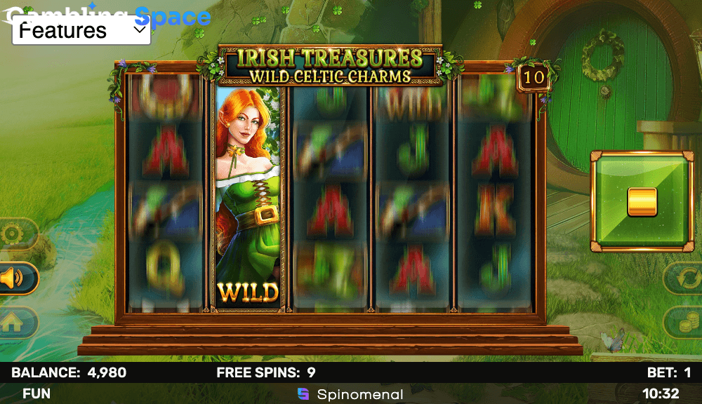 Irish Treasures - Wild Celtic Charms – Screenshot 5