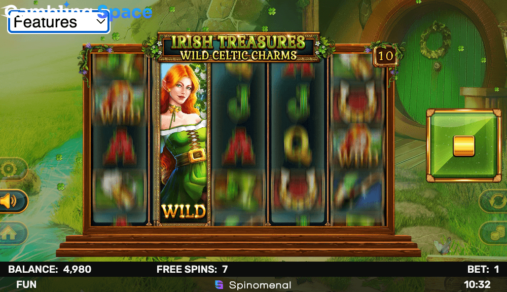 Irish Treasures - Wild Celtic Charms – Screenshot 6