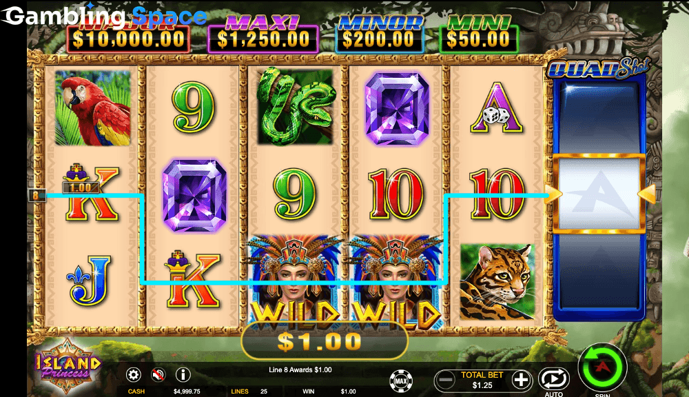 Island Princess – Screenshot 3