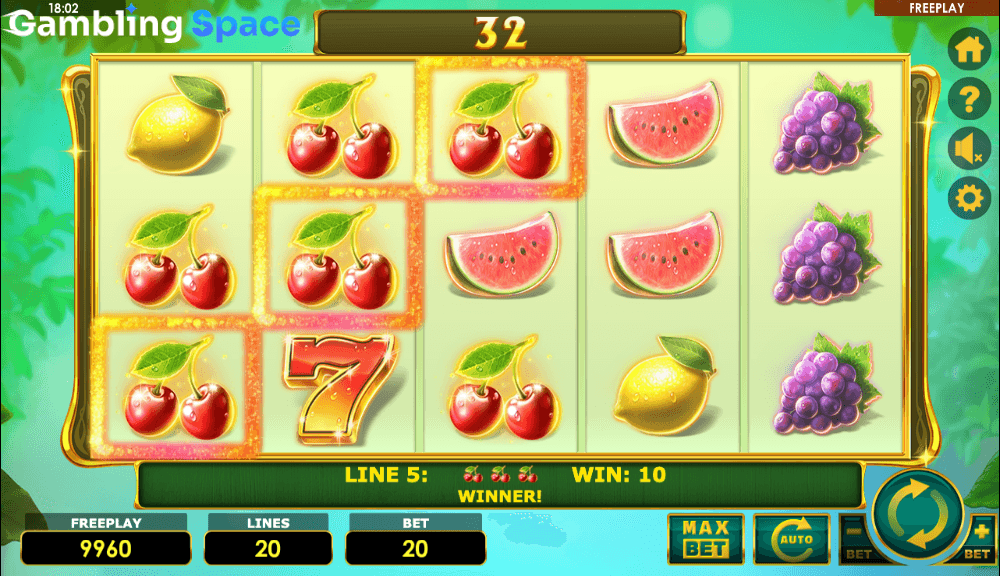 Lady Fruits 20 – Screenshot 4