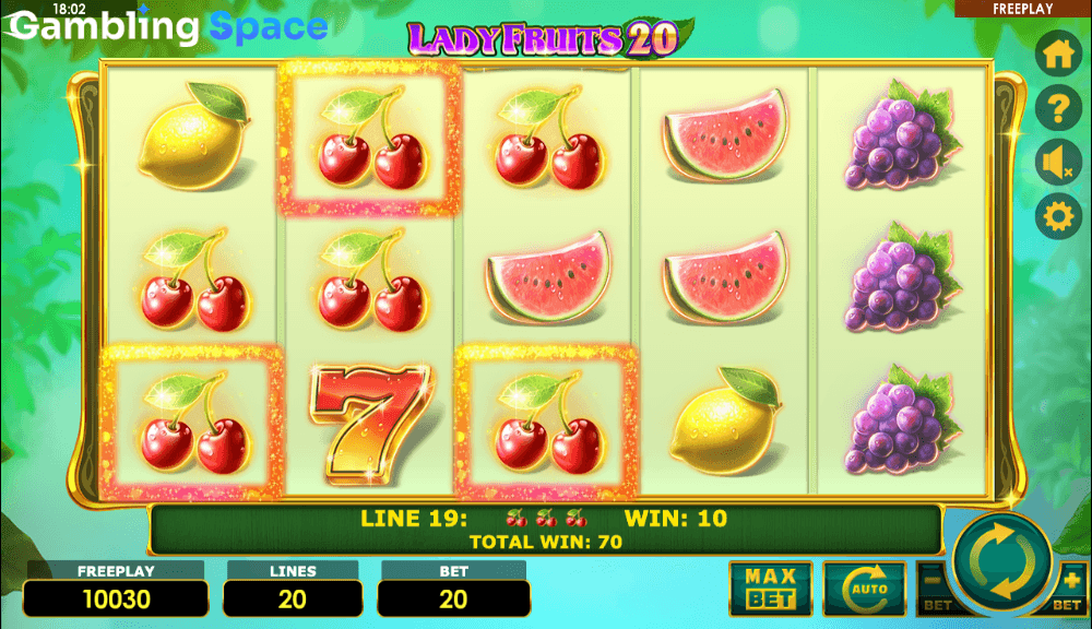 Lady Fruits 20 – Screenshot 5