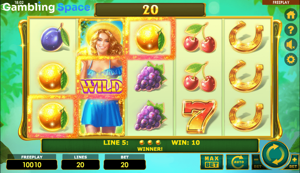 Lady Fruits 20 – Screenshot 6