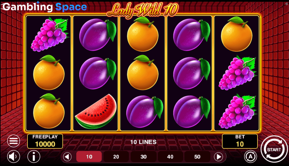 Lady Wild 10 – Screenshot 2