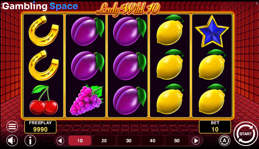 Lady Wild 10 – Screenshot 3