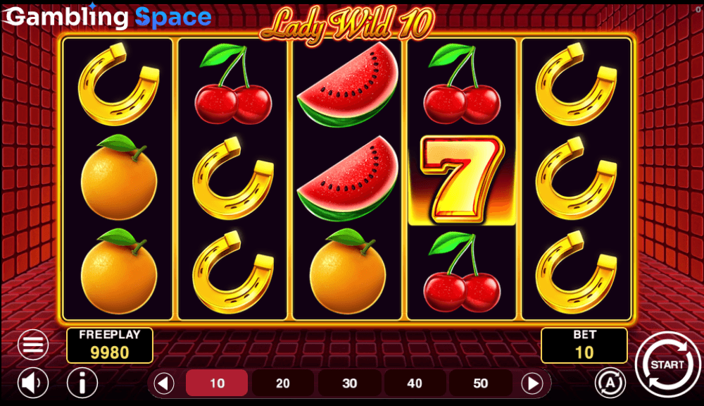 Lady Wild 10 – Screenshot 4